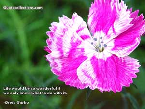 Greta Garbo Quotes 4